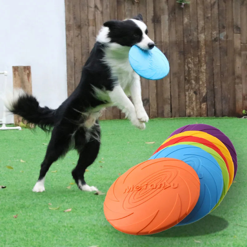 Floating Water Dog Frisbee – Bite-Resistant Rubber Disc for Pool & Lake Fetch