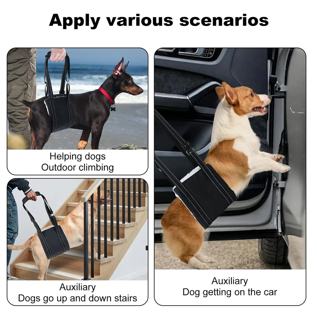 Rear-Leg Lift Harness Sling – Mobility Support for Senior Dogs
