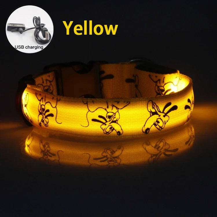 USB Rechargeable LED Dog Collar