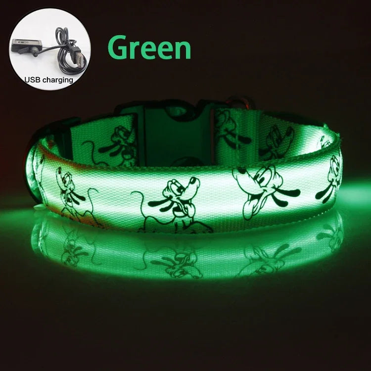 USB Rechargeable LED Dog Collar