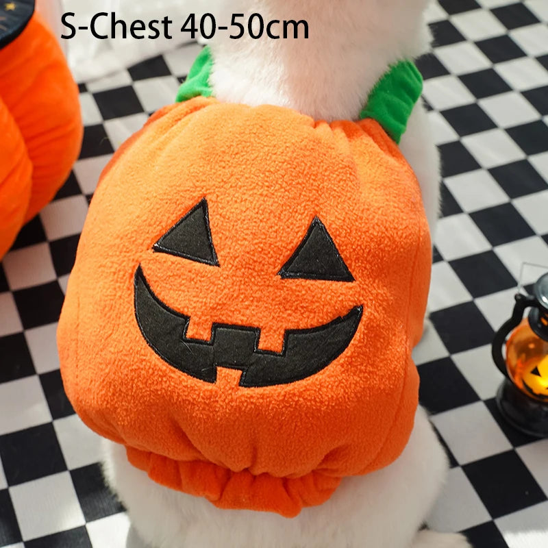 Plush Pumpkin Pet Costume for Halloween