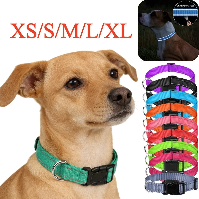 Reflective Nylon Dog Collar – Night-Safe Walking Collar