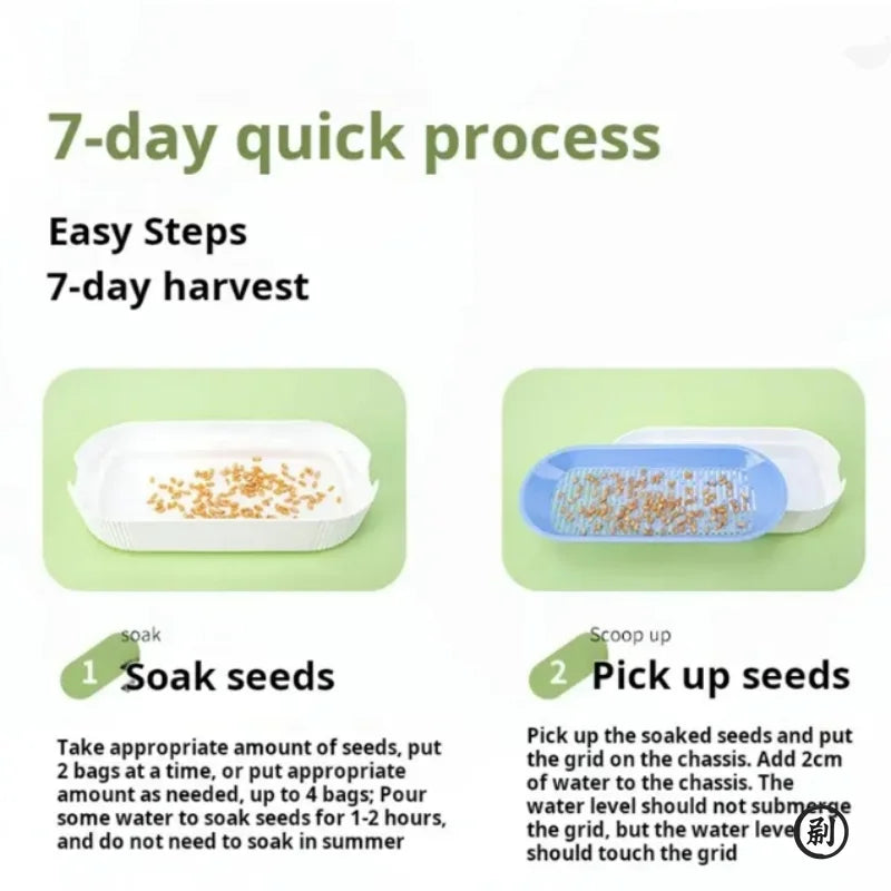 Organic Cat Grass Growing Kit