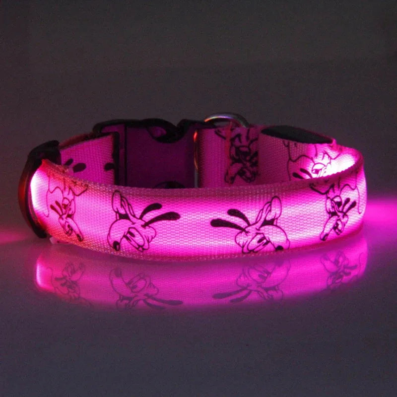 USB Rechargeable LED Dog Collar