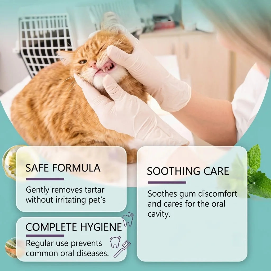 MIRAVEXLPet Finger Toothbrush 50PCS Cat Dog Dental Wipes Oral Care Disposable Finger Cot Teeth Cleaning Tool Fresh Breath Plaque