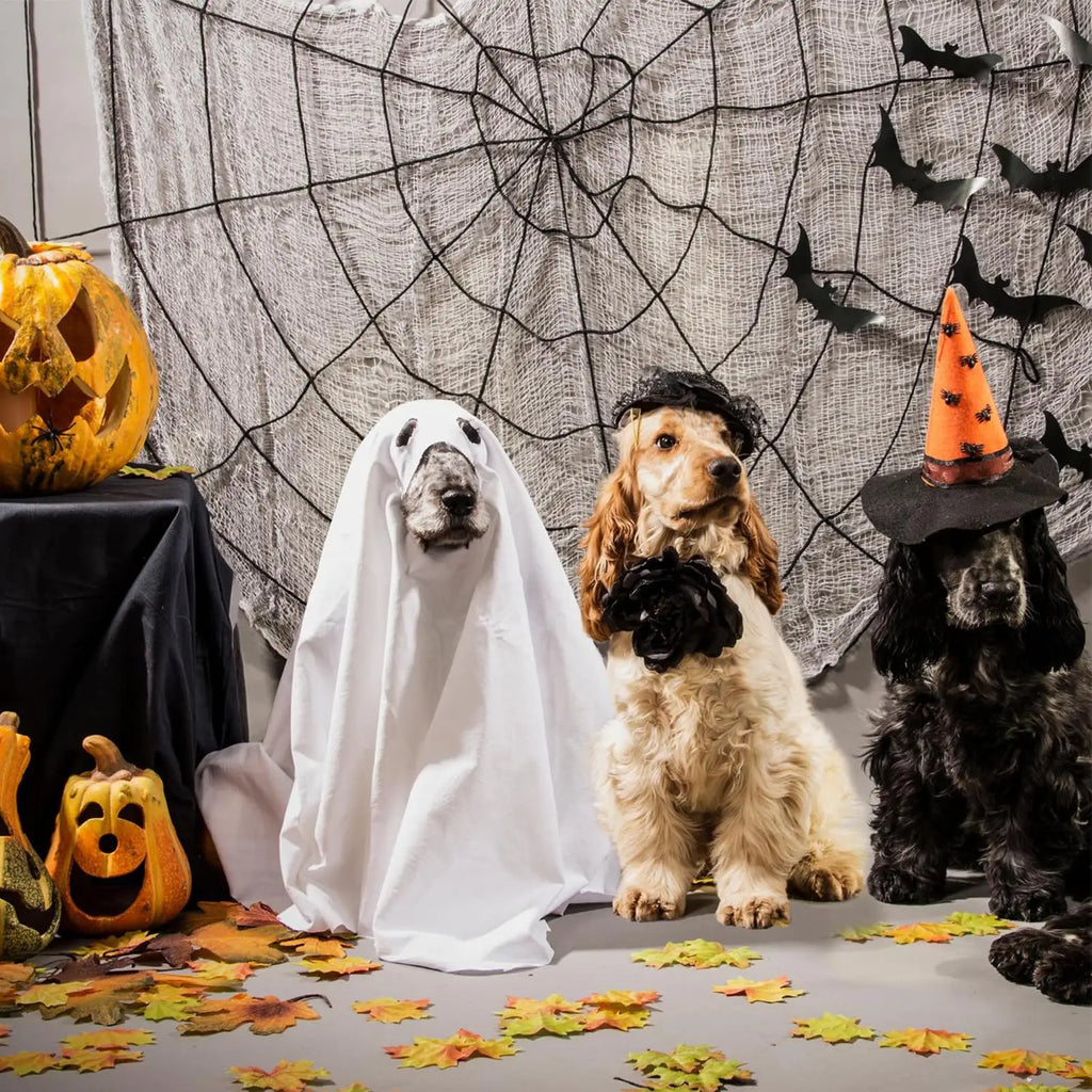Ghost Dog Hoodie – Halloween Costume for Dogs