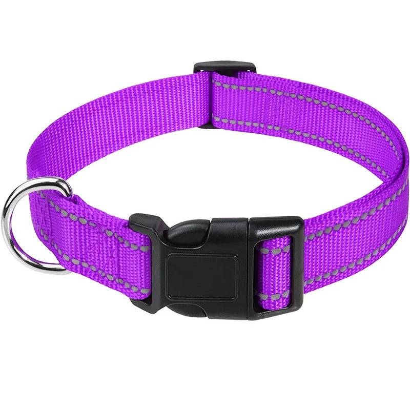 Reflective Nylon Dog Collar – Night-Safe Walking Collar