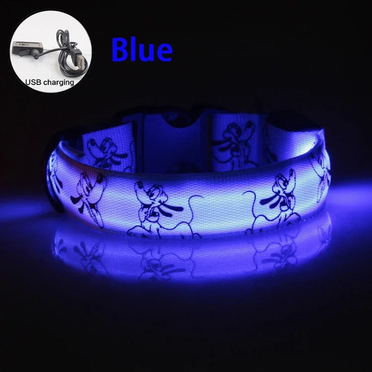 USB Rechargeable LED Dog Collar