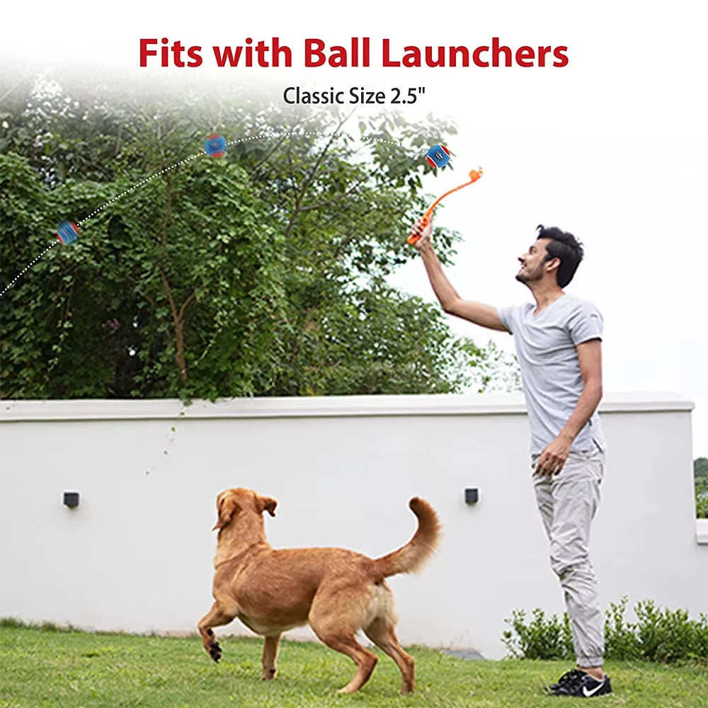 Squeaky Tennis Balls for Dogs – 4-Pack Fetch Toys