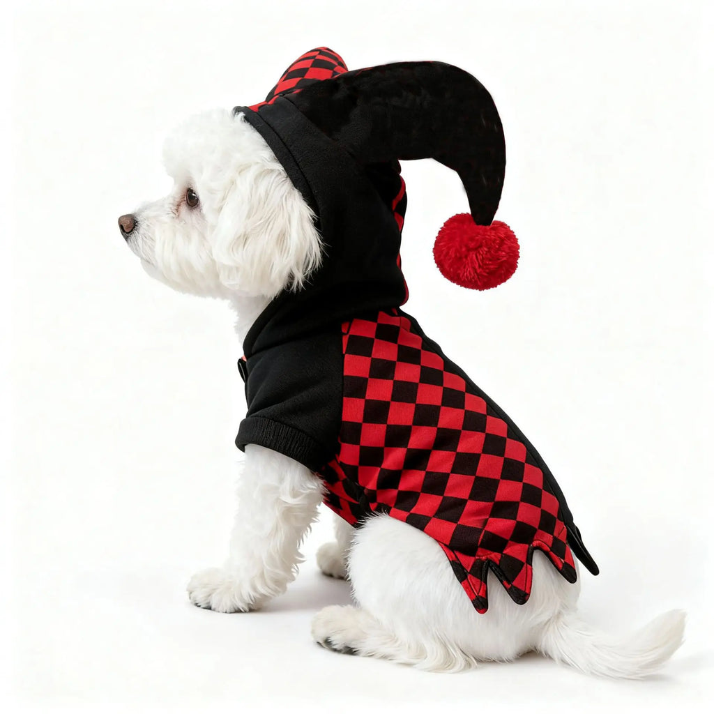 Clown Pet Costume for Halloween