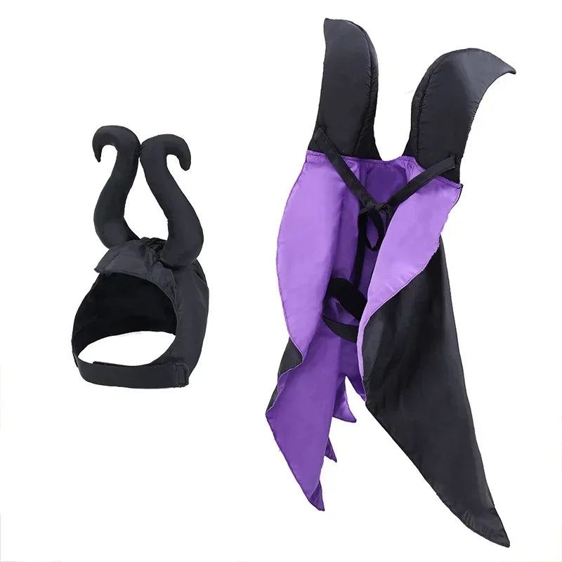 Pet Witch Hat & Cape Set – Halloween Costume