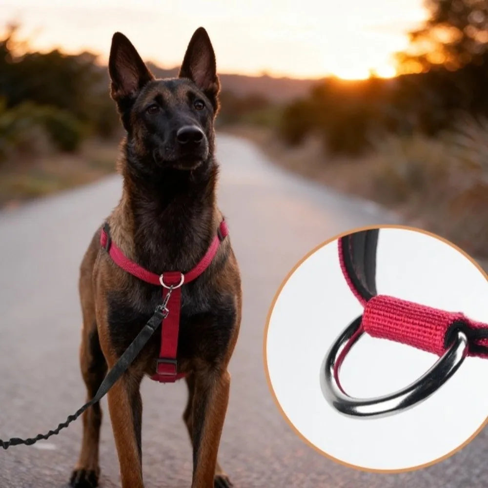 Dog Traction Supplies Adjustable Dog Harness Vest Anti Breakaway Durable Dog Anti Escape Vest Comfortable Training Vest Hiking