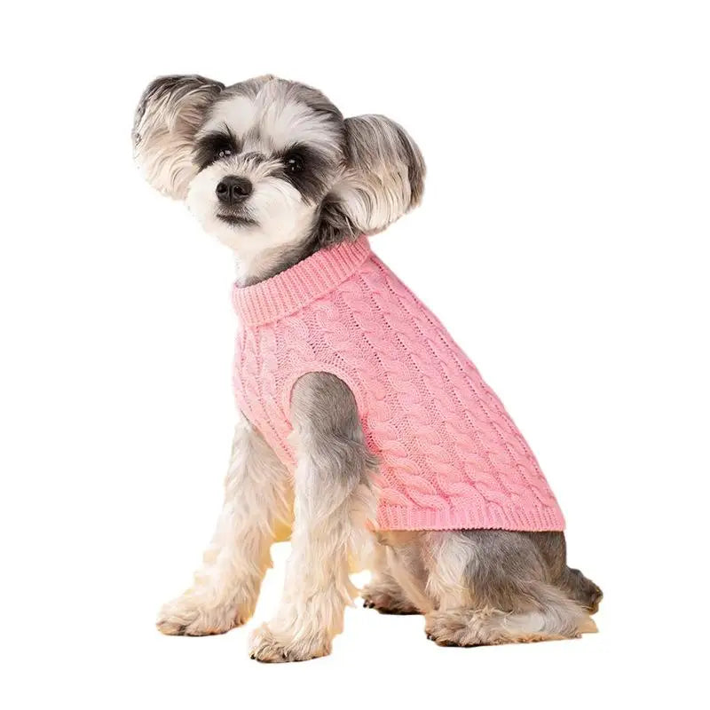 Knit Turtleneck Dog Sweater – Winter Warm