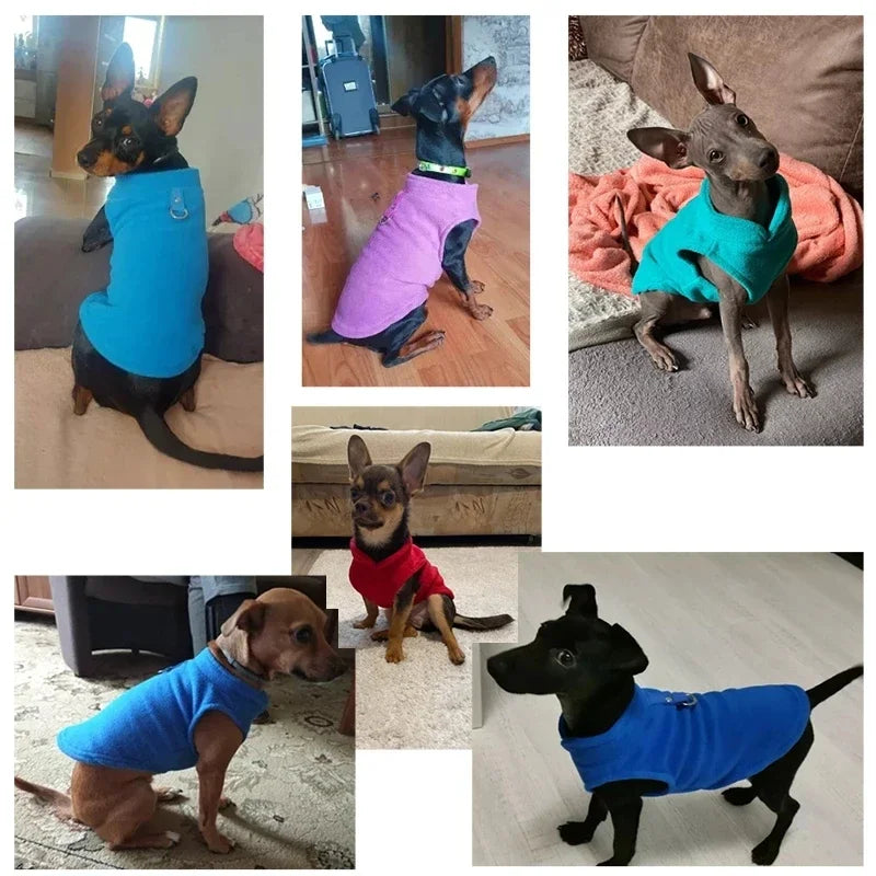 Fleece Dog Vest with D-Ring Leash Attachment