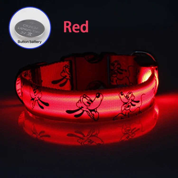 USB Rechargeable LED Dog Collar