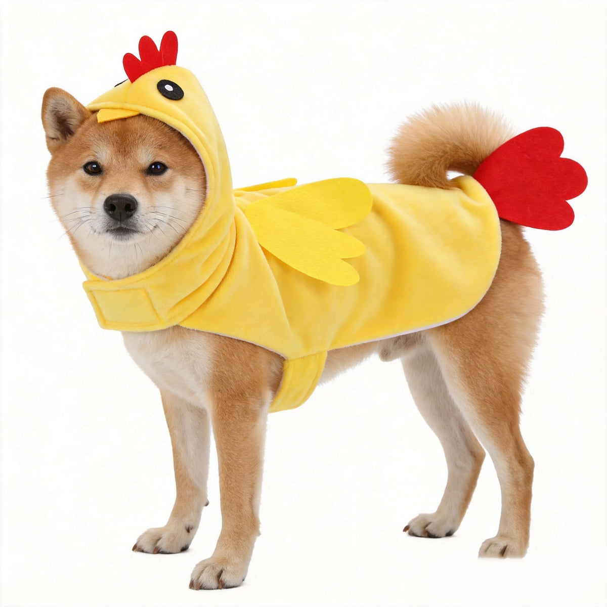 Chicken Pet Costume for Halloween