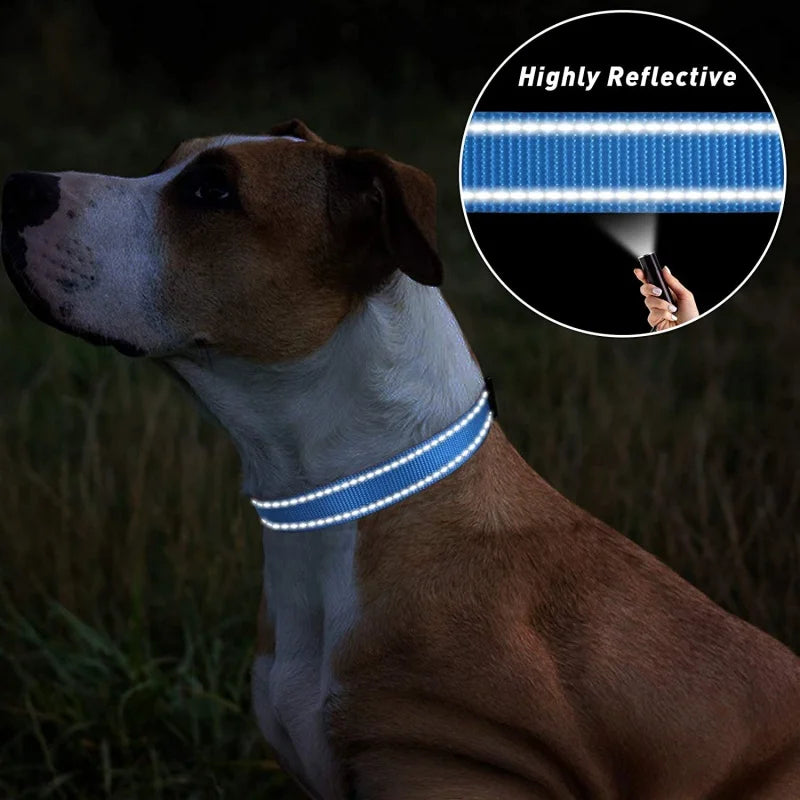 Reflective Nylon Dog Collar – Night-Safe Walking Collar