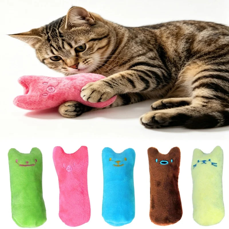 Squeaky Catnip Plush Toy – Interactive Kitten Chew Toy
