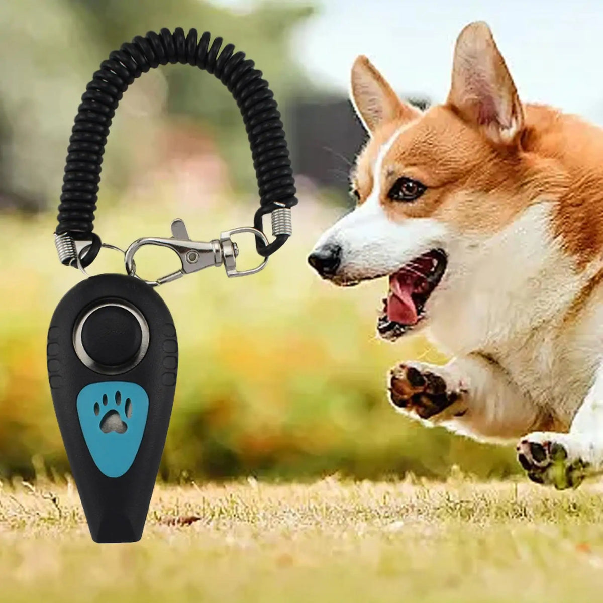 Dog Training Clicker & Whistle Set