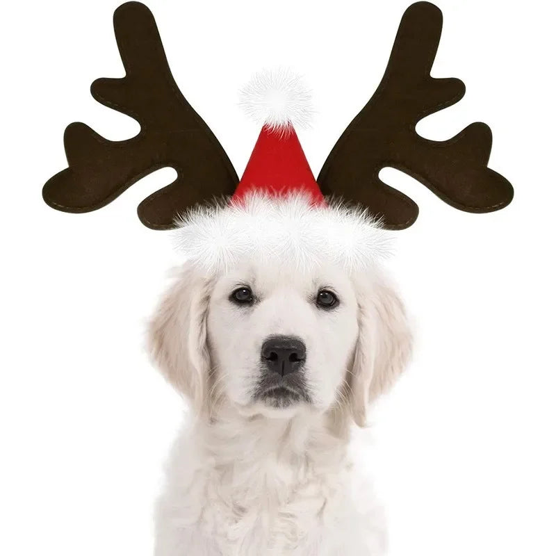 Reindeer Antlers Headband for Pets – Christmas Costume Accessory