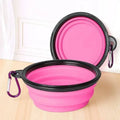 2-in-1 Collapsible Double Travel Pet Bowl