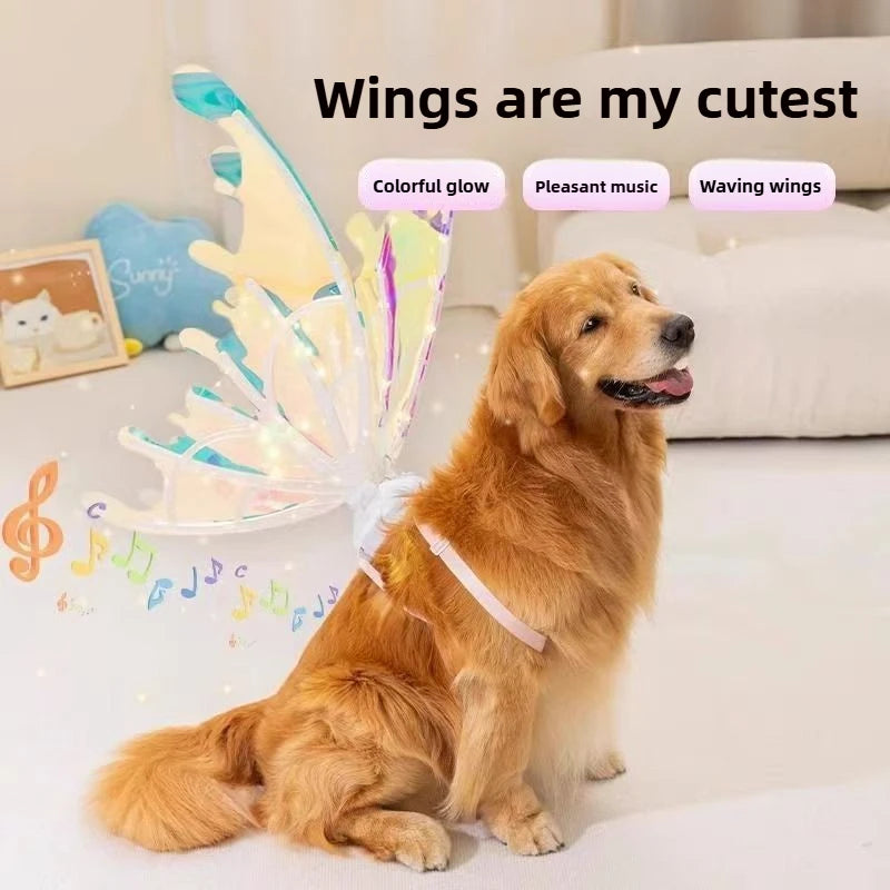 Monarch Butterfly Pet Costume – Halloween Wings