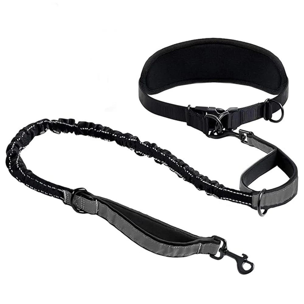 Hands-Free Waist Dog Leash – Crossbody & Jogging
