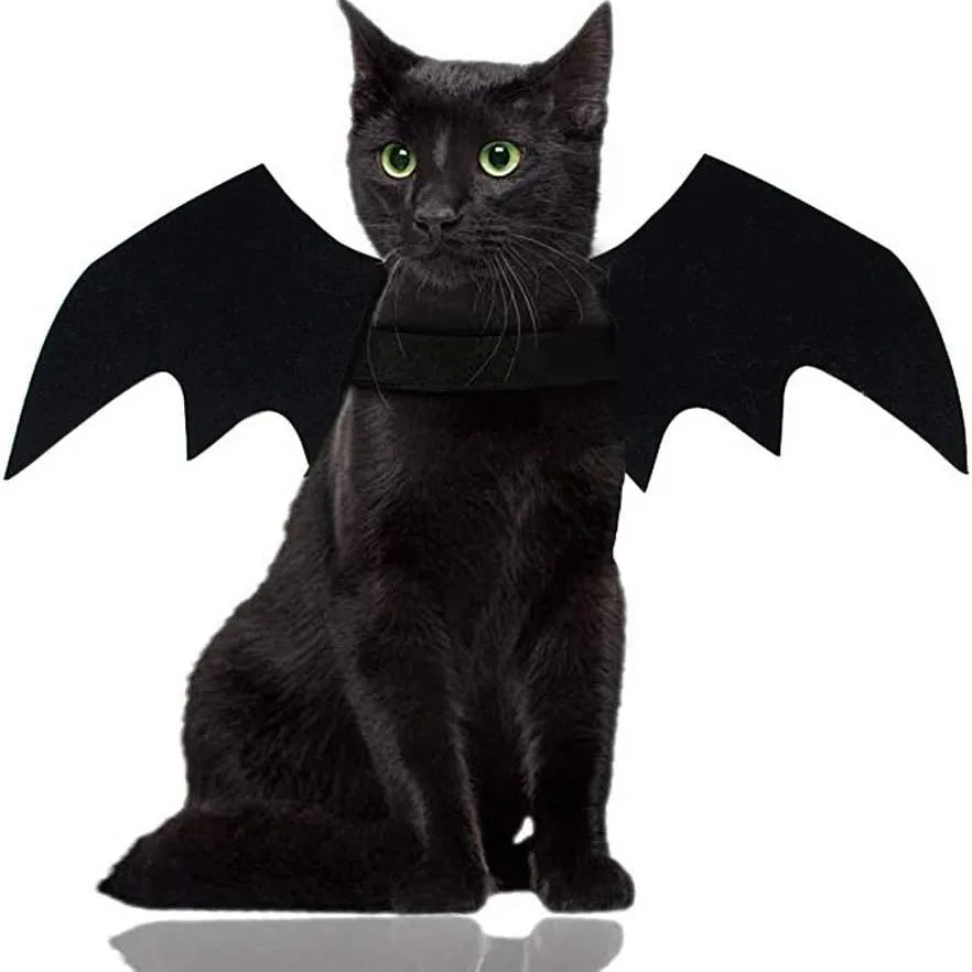 Bat Wings Pet Costume for Halloween