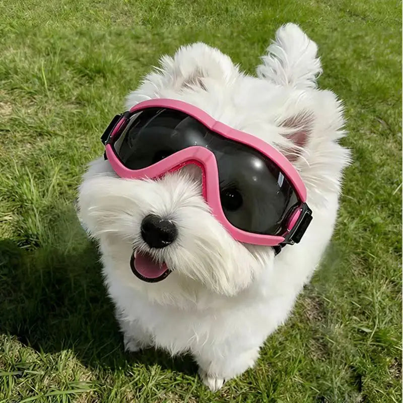UV Dog Sunglasses – Windproof & Dustproof Goggles