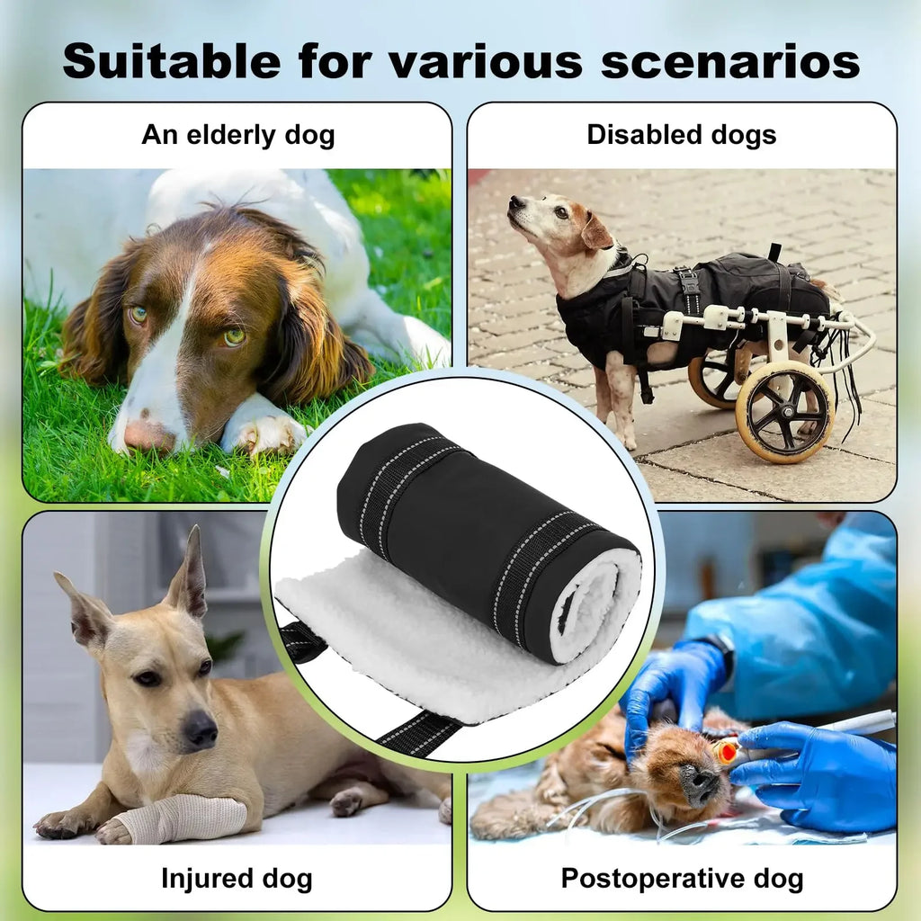 Rear-Leg Lift Harness Sling – Mobility Support for Senior Dogs