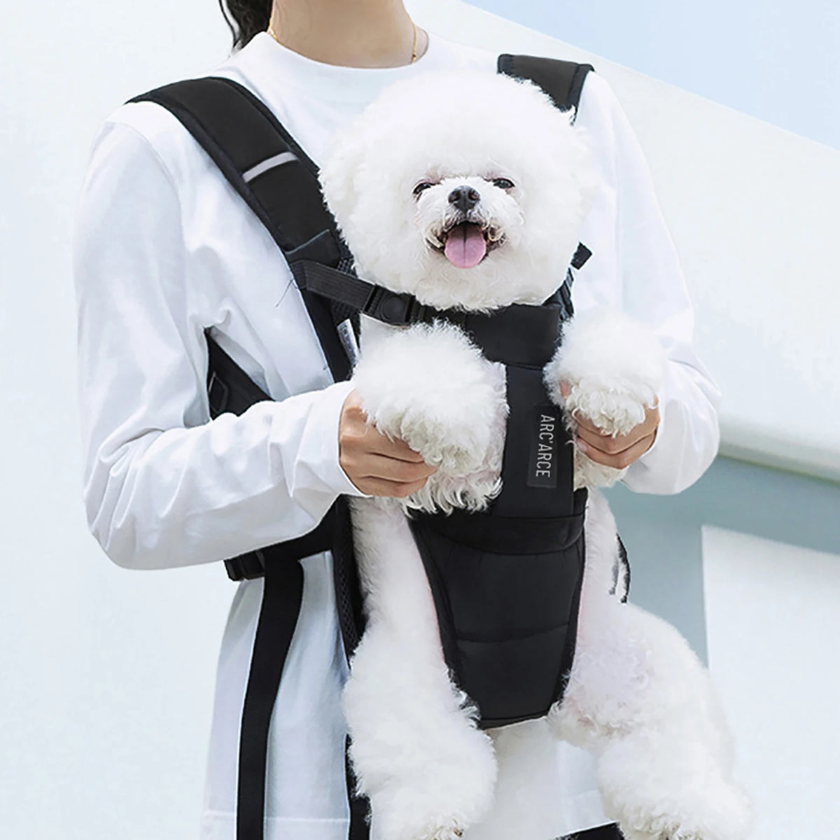 Pet Carrier Backpack with Bubble Window
