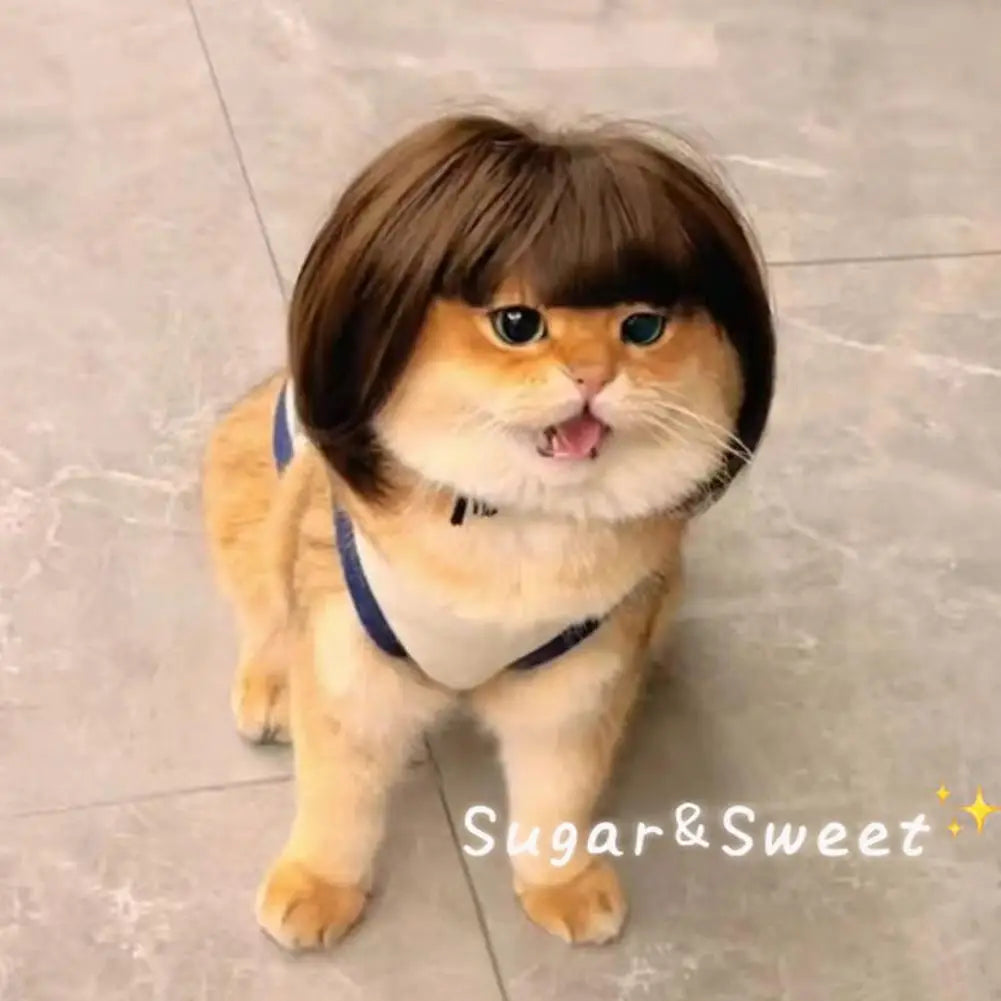 Funny Pet Wigs for Cats & Dogs