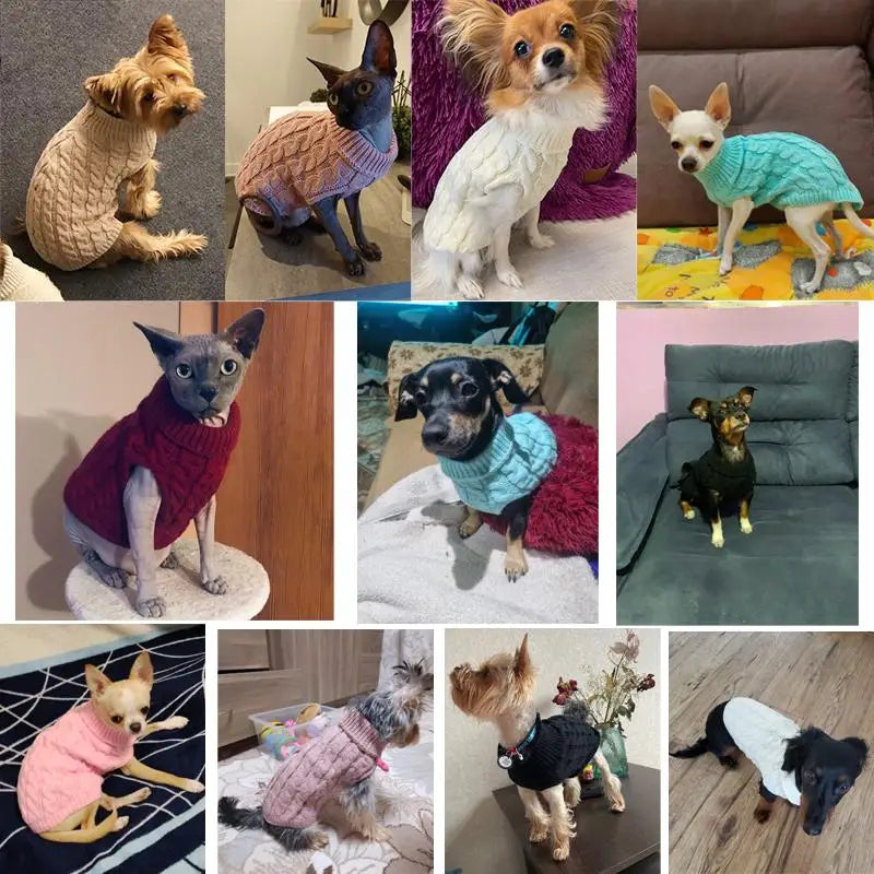 Knit Turtleneck Dog Sweater – Winter Warm