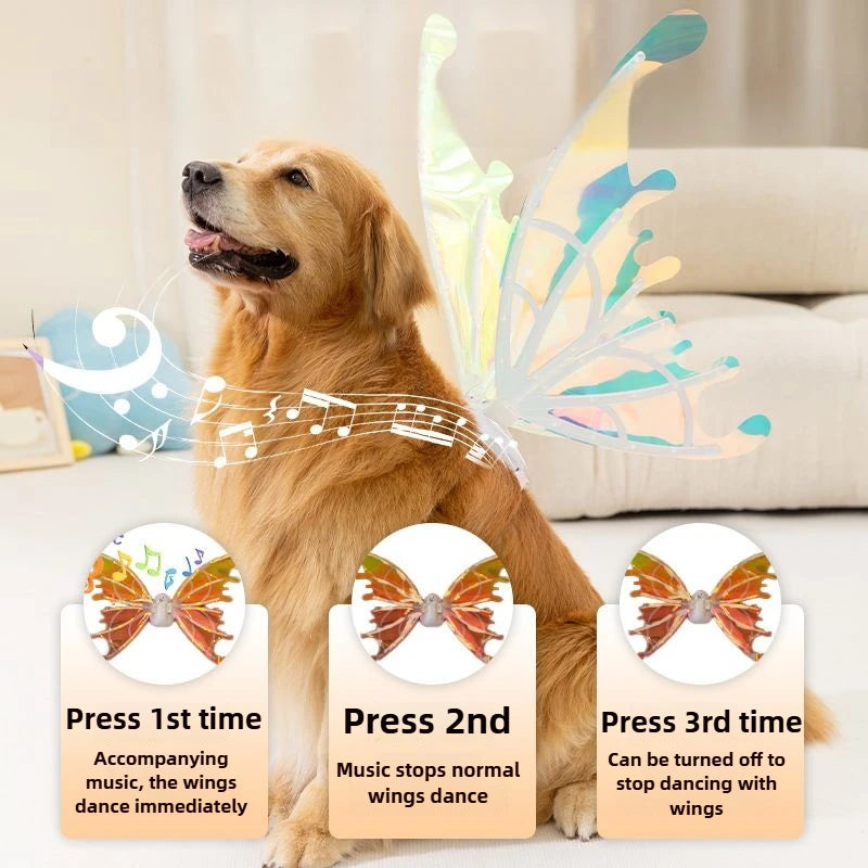 Monarch Butterfly Pet Costume – Halloween Wings
