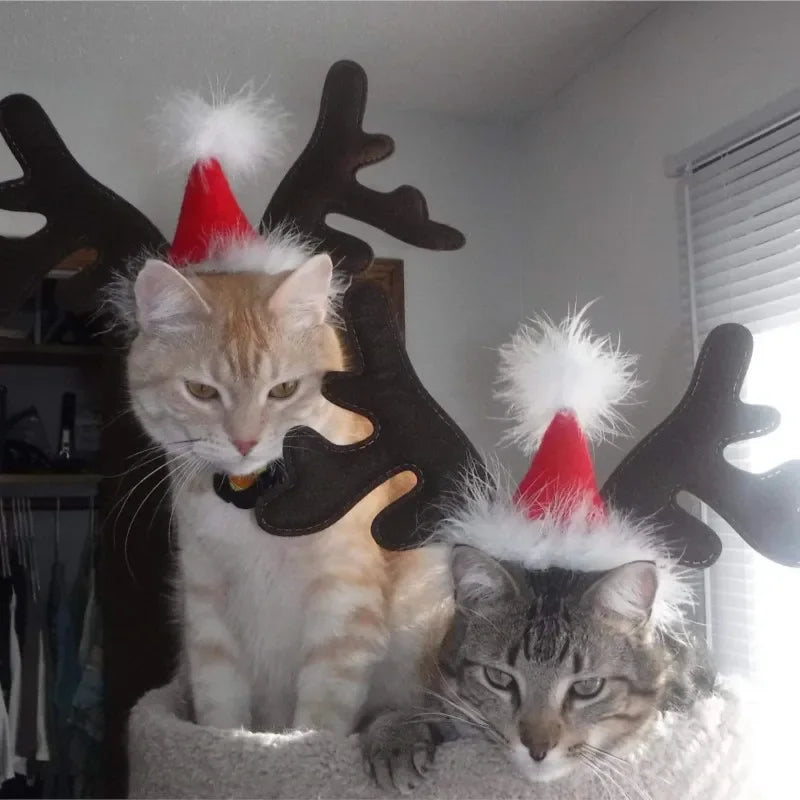 Reindeer Antlers Headband for Pets – Christmas Costume Accessory