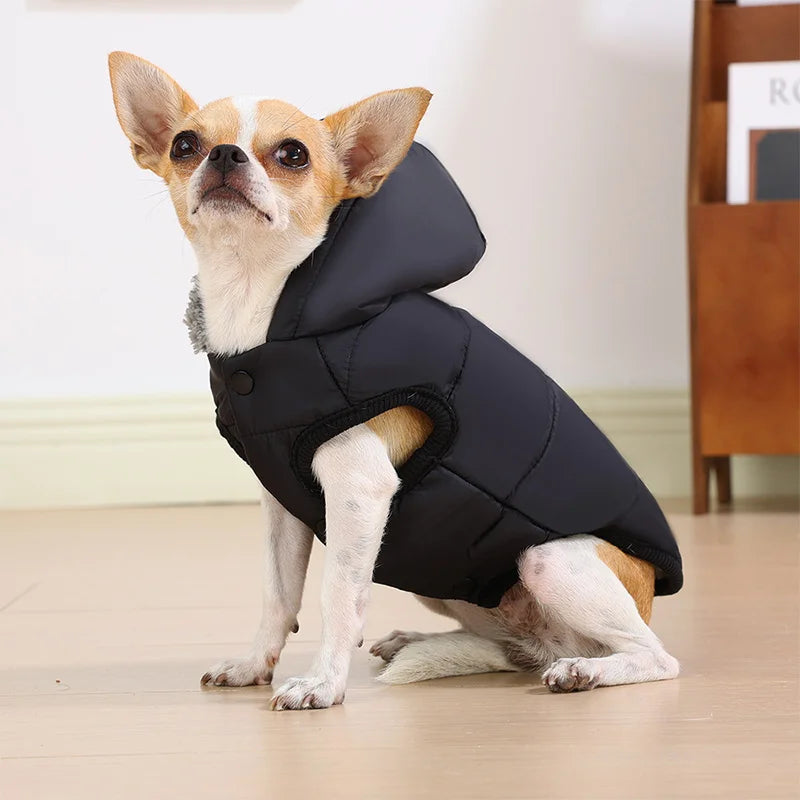 Faux-Fur-Trim Winter Dog Parka – Warm Hooded Coat