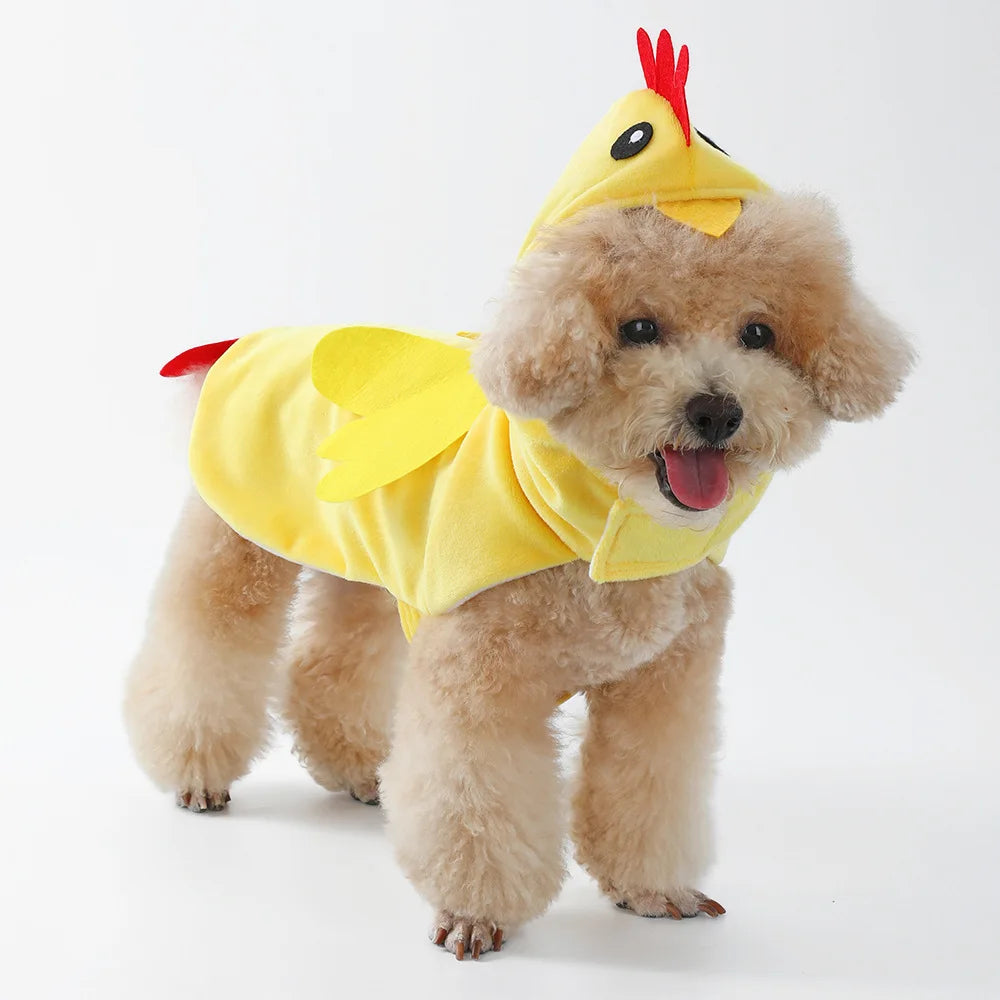 Chicken Pet Costume for Halloween
