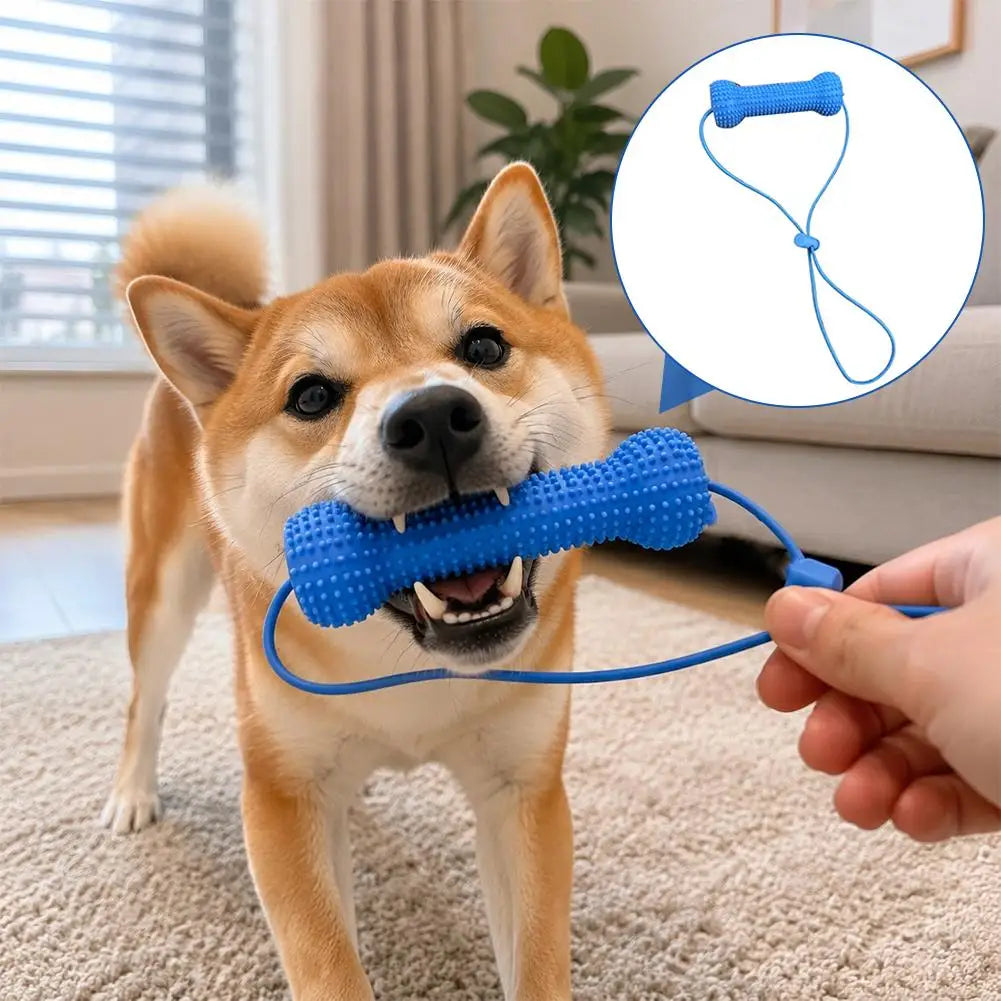 Dog Chew Toothbrush Stick – Dental Cleaning Toy
