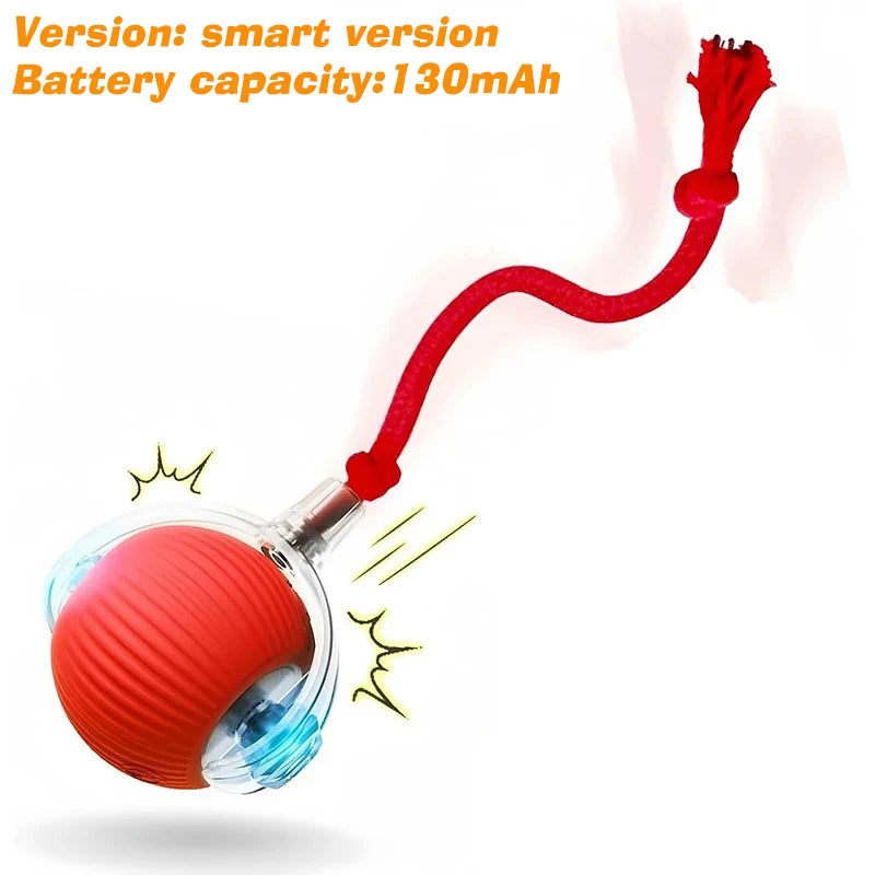 Interactive Rolling Ball Toy for Cats & Dogs