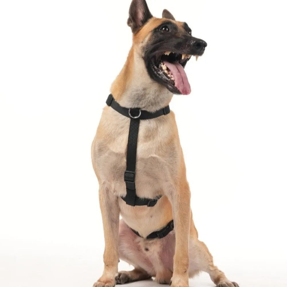 Dog Traction Supplies Adjustable Dog Harness Vest Anti Breakaway Durable Dog Anti Escape Vest Comfortable Training Vest Hiking