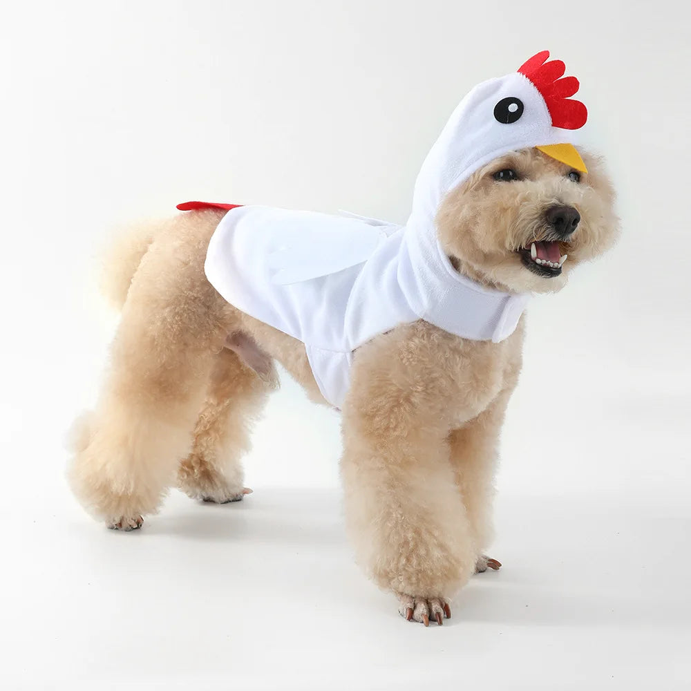 Chicken Pet Costume for Halloween
