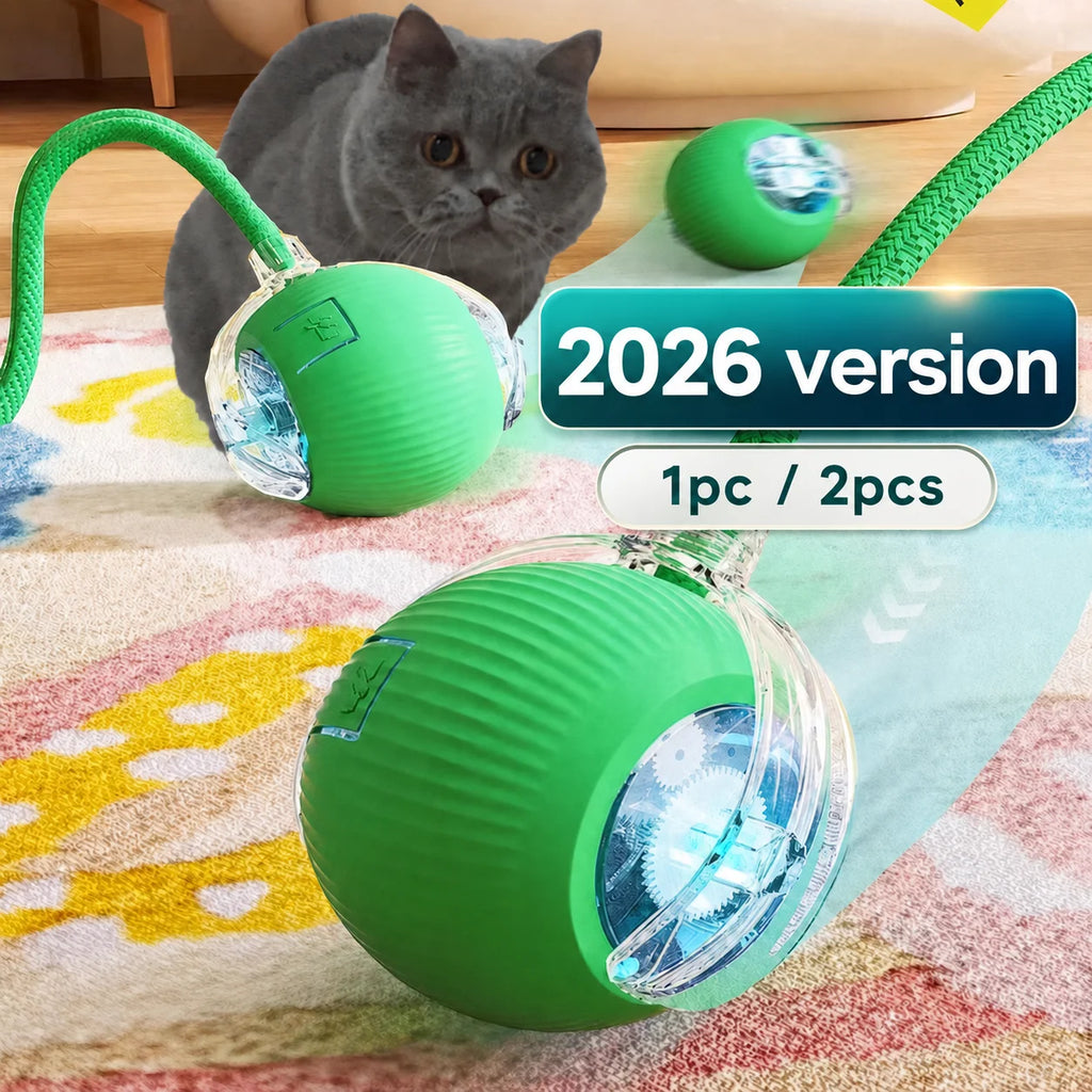 Interactive Rolling Ball Toy for Cats & Dogs