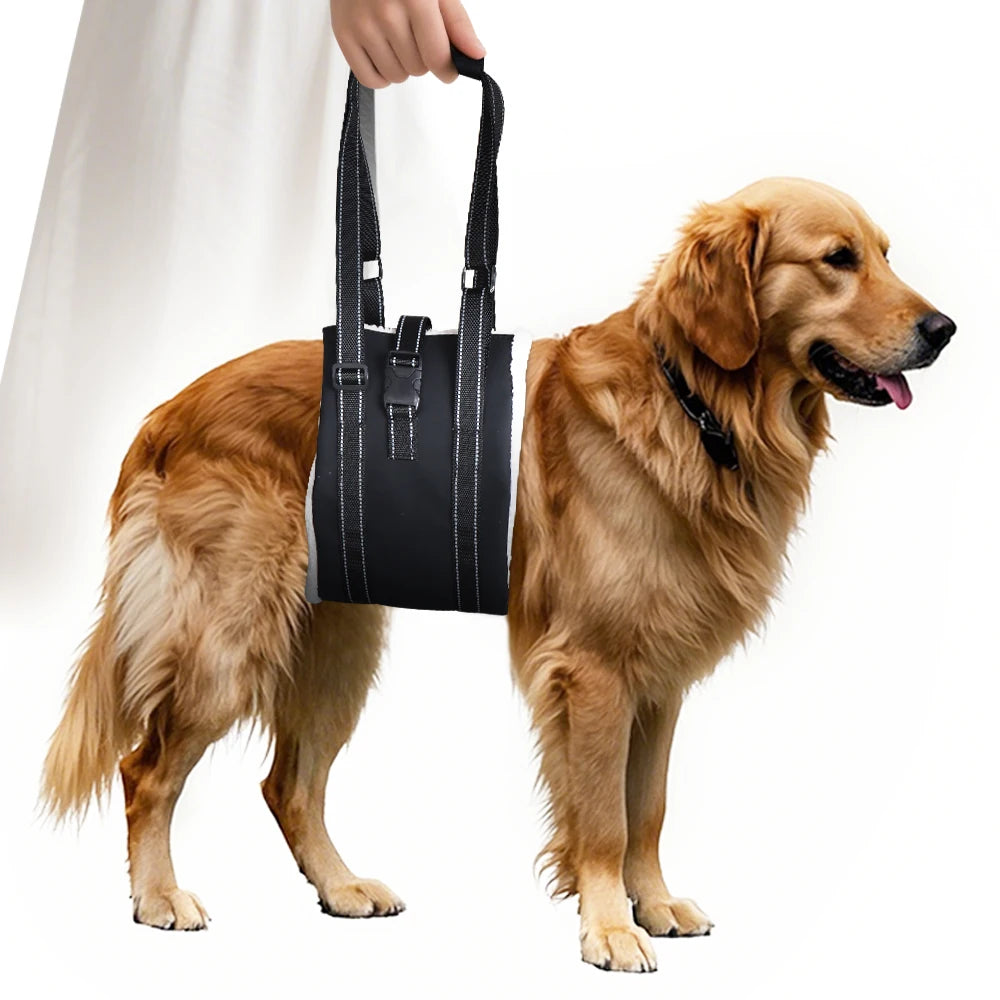 Rear-Leg Lift Harness Sling – Mobility Support for Senior Dogs