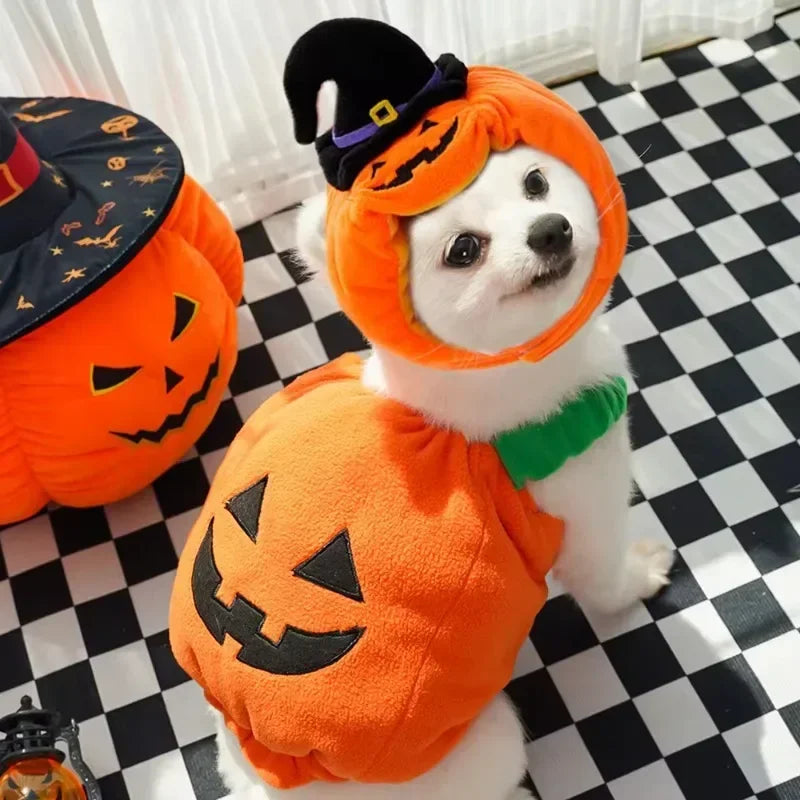 Plush Pumpkin Pet Costume for Halloween