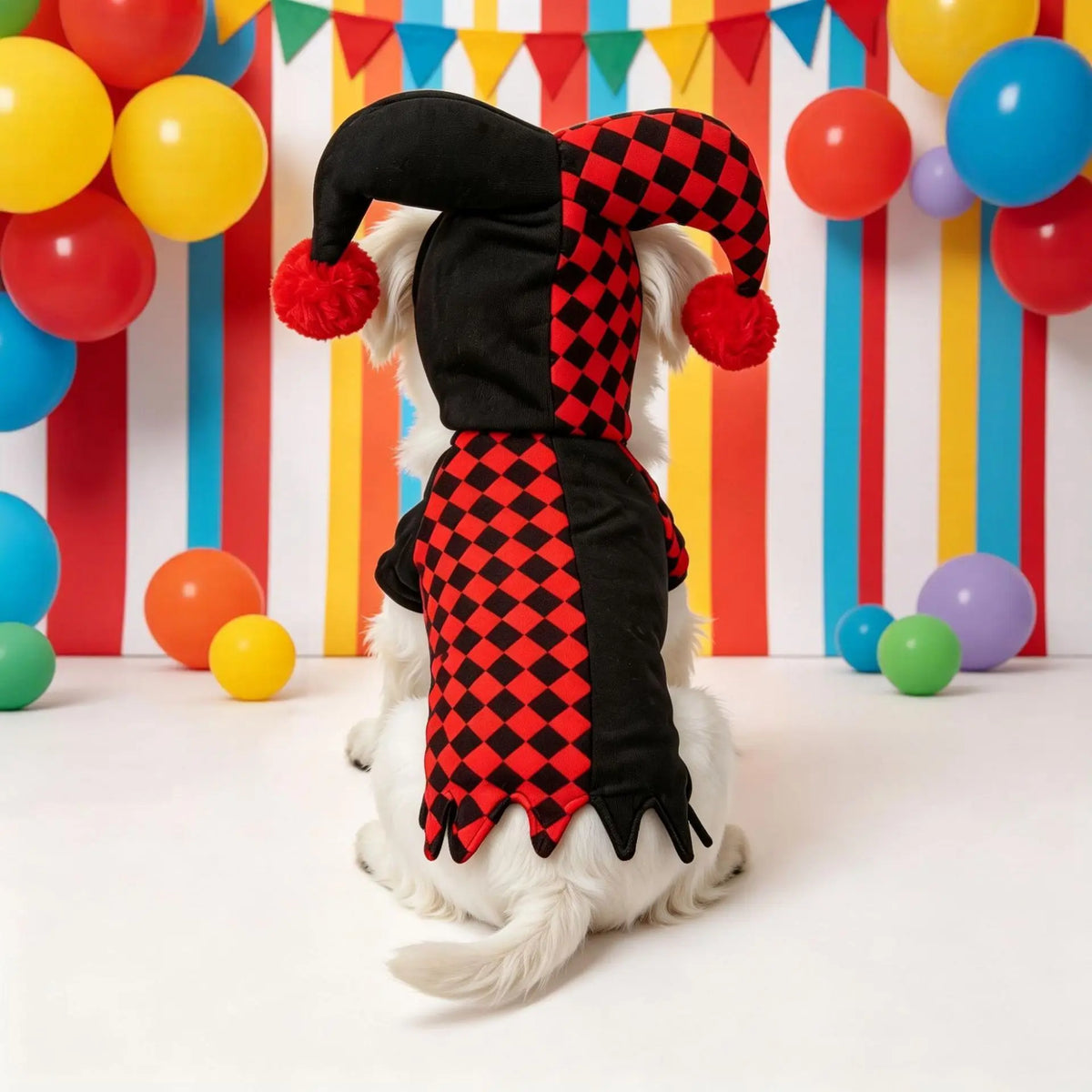 Clown Pet Costume for Halloween