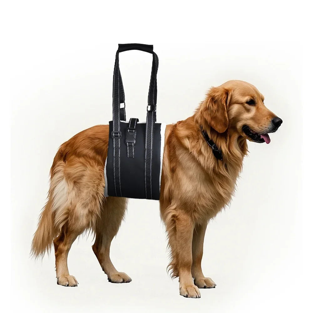 Rear-Leg Lift Harness Sling – Mobility Support for Senior Dogs