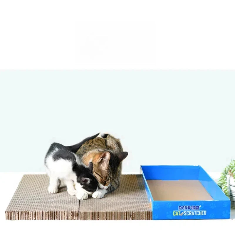 Cat Scratching Lounge Board