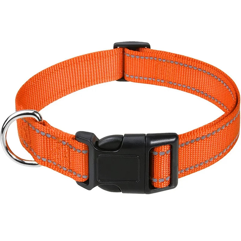 Reflective Nylon Dog Collar – Night-Safe Walking Collar