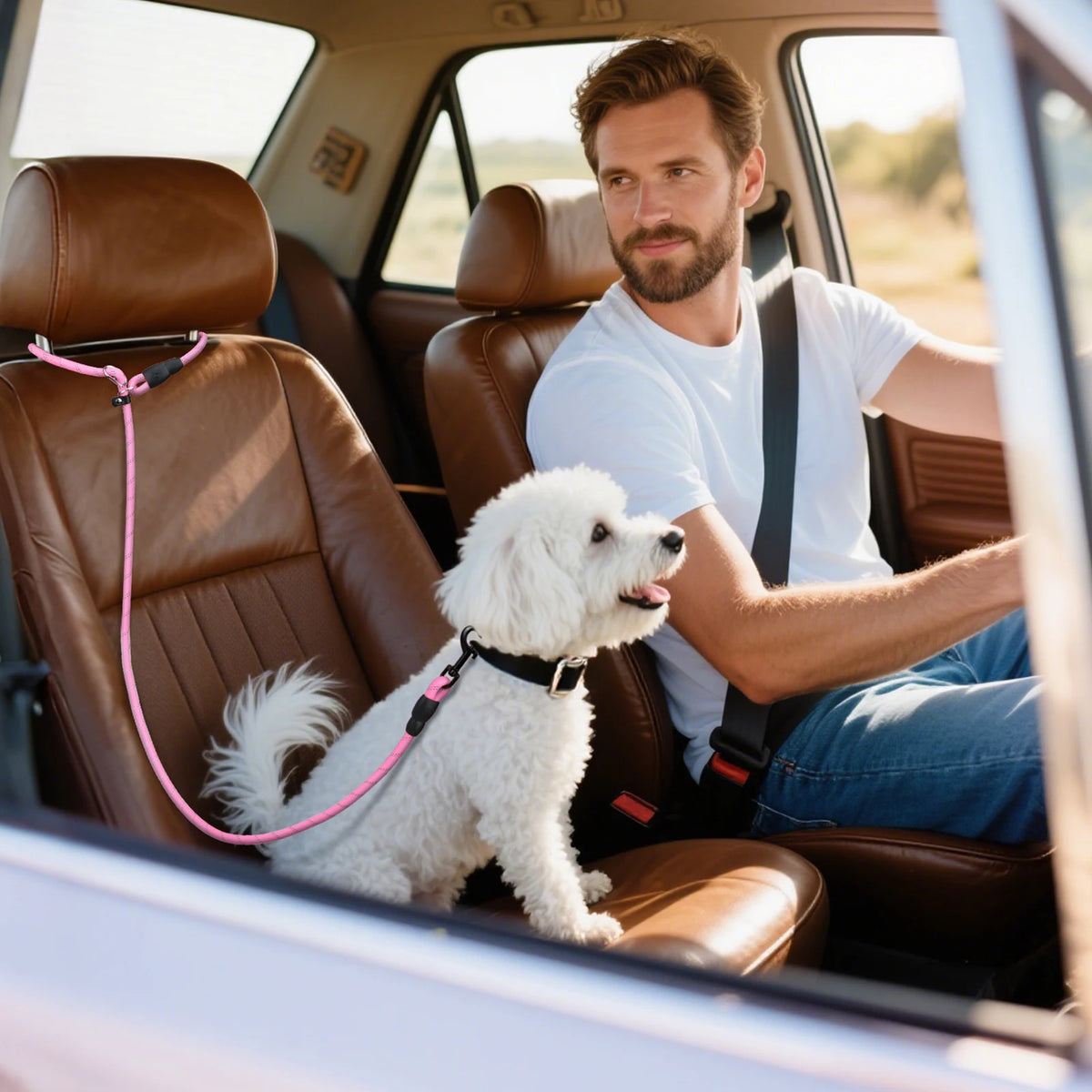 Dog Car Seatbelt Clip – Safety Buckle for Travel