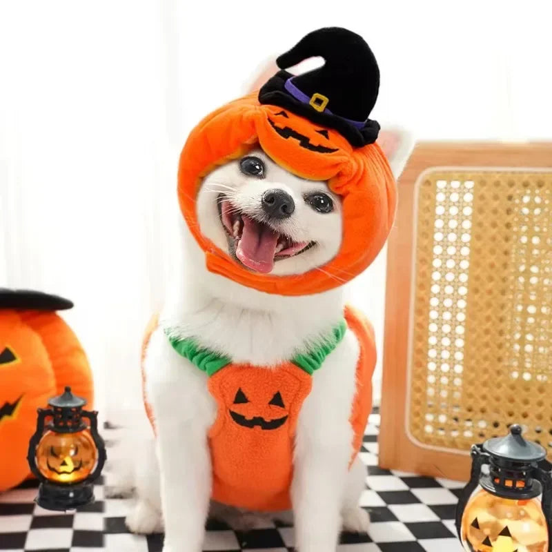 Plush Pumpkin Pet Costume for Halloween